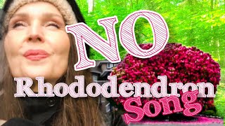 NO RHODODENDRON SONG (prestal nám rásť Rododendrón)