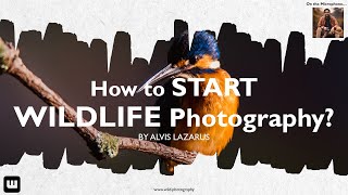 Step by Step explanation on How to start Wildlife Photography!