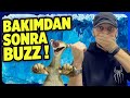 Bu ve Bunun Gibi Laptopları Soğutmanız Çok Zor! Ama İmkansız Değil!