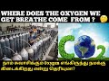 where does the oxygen we get breathe come from? | Oxygen production in Ocean | தமிழில்