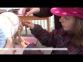 Citice: obci priv´itali jaro Z´apad)