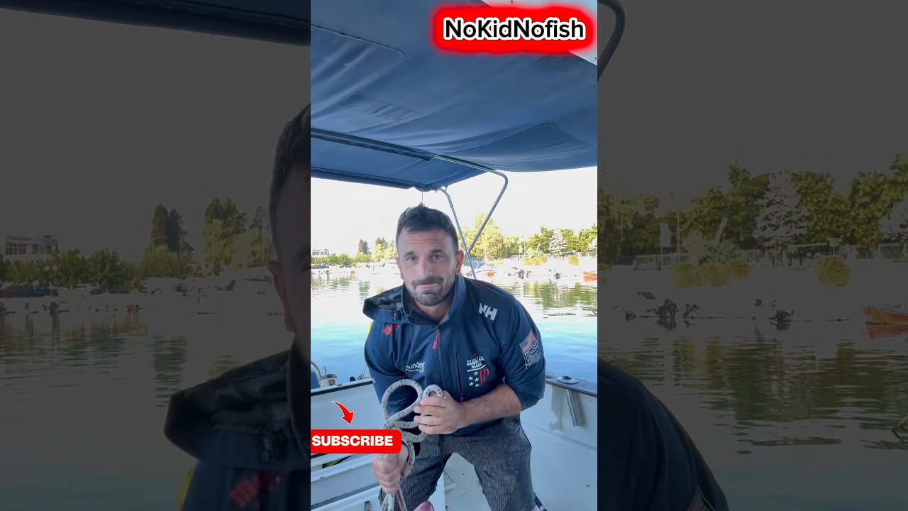 Οι σφυρίδες έχουν τρελαθεί! 😱; #fishing #ψάρεμα #nokidnofish #viral