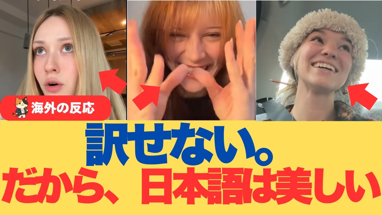 【海外の反応】難しいからじゃない。日本語が“訳せなくて”外国人が泣いた理由