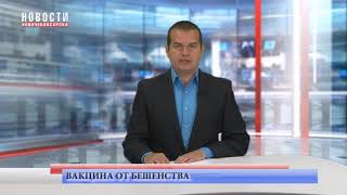 В Чувашии для диких животных разложат вакцину от бешенства В Чувашии для диких животных разложат вакцину от бешенства