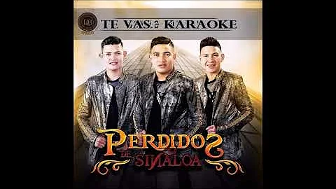 TE VAS  - KARAOKE  -  LOS PERDIDOS DE SINALOA