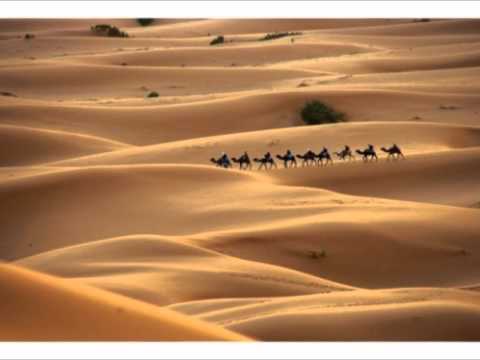 Desert Orgy - Phace and Misanthrop