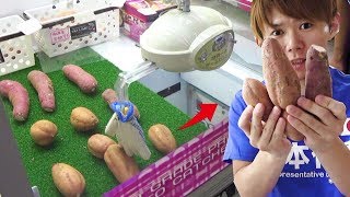 いもほりUFOキャッチャーがヤバすぎ!取ってその場で焼き芋を作って食べてみた! いもほりUFOキャッチャーがヤバすぎ!取ってその場で焼き芋を作って食べてみた!