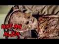 NASA Can&#39;t Hide This: Shocking Evidence of Alien Visitation | Marathon