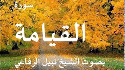 سورة القيامة بصوت الشيخ / نبيل الرفاعي 75