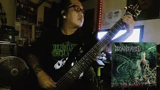 Bass Study 122: Index Finger Picking Hand Exercise - Perfect Dehumanization by Decapitated