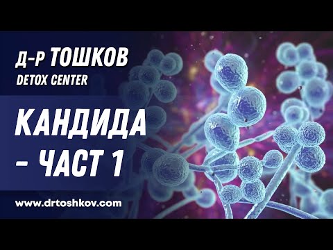 Видео: Какво можете да ядете на диета за кандида?