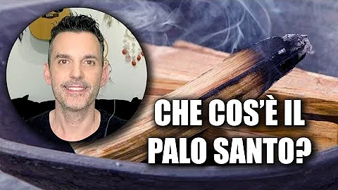 Dove acquistare il vero Palo Santo?
