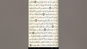 ماهر المعيقلي سورة النساء مكتوبة صفحة 96 مصحف المدينة المنورة جودة عالية