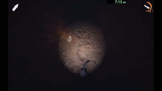 DEVOUR | [WR] | solo The Manor nightmare NMG // 21:00.225