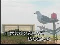 恋し浜   大沢桃子   カバー 英哥