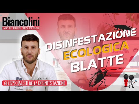 Disinfestazione ecologica blatte: