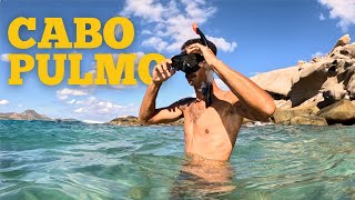 Exploring the NATURAL WONDERS of CABO PULMO National Park by Weekday Adventures 2,730 views 4 months ago 16 minutes