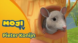 DE MUIZENVERHUIZING 🐁 | PIETER KONIJN 🐰 | Nederlandse Kinderseries | MojiTV
