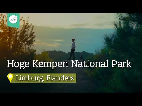 Discover Hoge Kempen National Park | Find Nature in Flanders | Discover Limburg 🌲