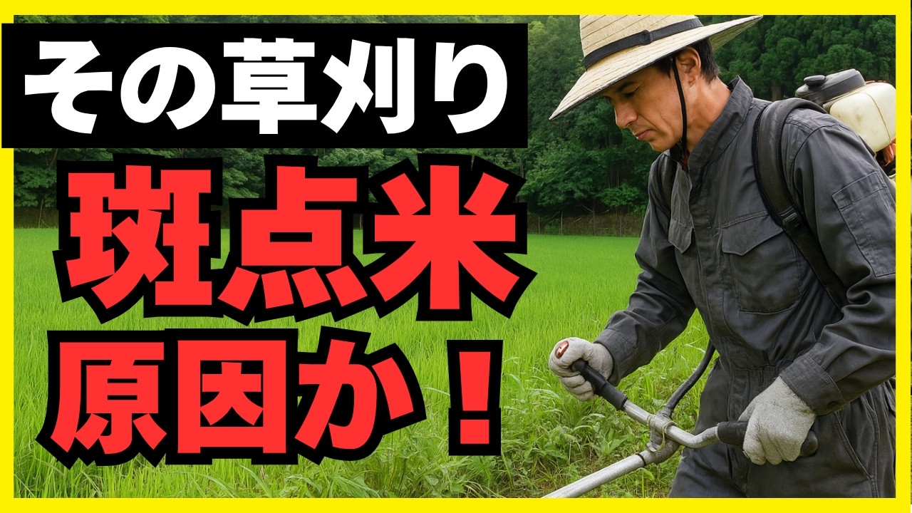 【永久保存版】米の等級と収入を守る！「戦略的」草刈りの全て（出穂期・カメムシ対策）