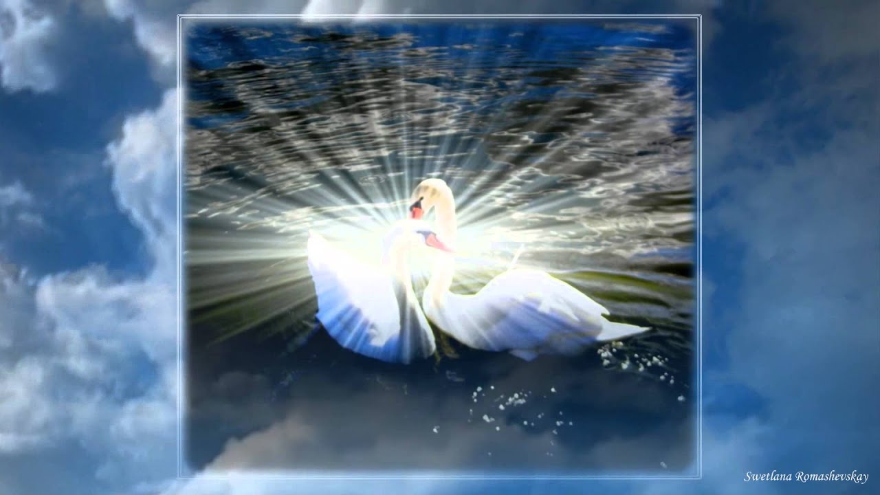 евгений росс возьми мою любовь. росс прости мою любовь. 14 февраля люблю тебя. росс прости мою любовь. феликс я люблю тебя.