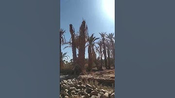 ما تيسر من آيات بينات من الذكر الحكيم رمضان كريم التراويح