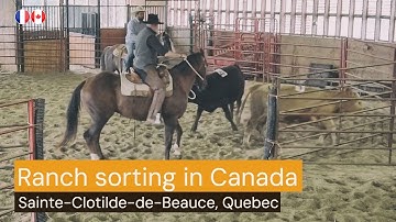 Discovering Ranch Sorting in Canada
