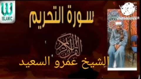 القارئ بجمهوريه مصر العربيه الشيخ عمرو السعيد  ماتيسر من سوره التحريم