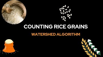 Rice Grains Counting and Classfication (Solving touching grains problem)