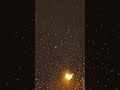 🌧️ Gentle Night Rain on Window | Instant Anxiety &amp; Stress Relief | Dark Screen Sleep Sounds