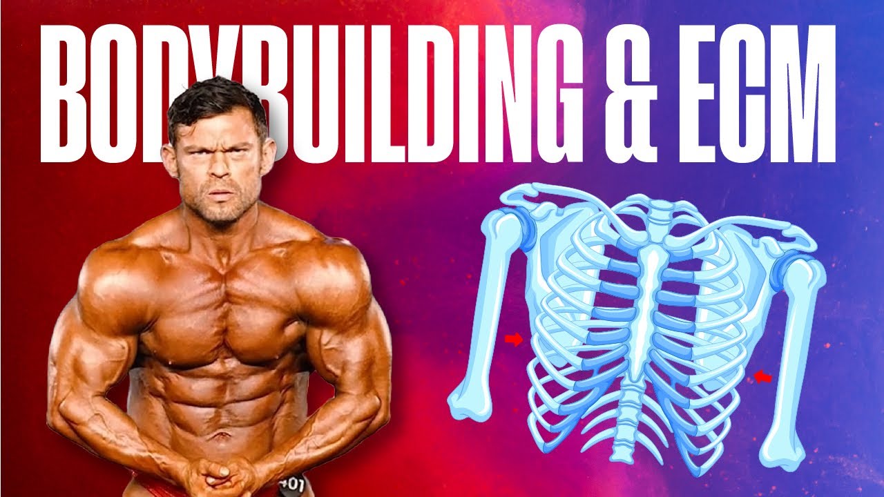 Основы ECM и бодибилдинга: что такое модель расширения-сжатия?