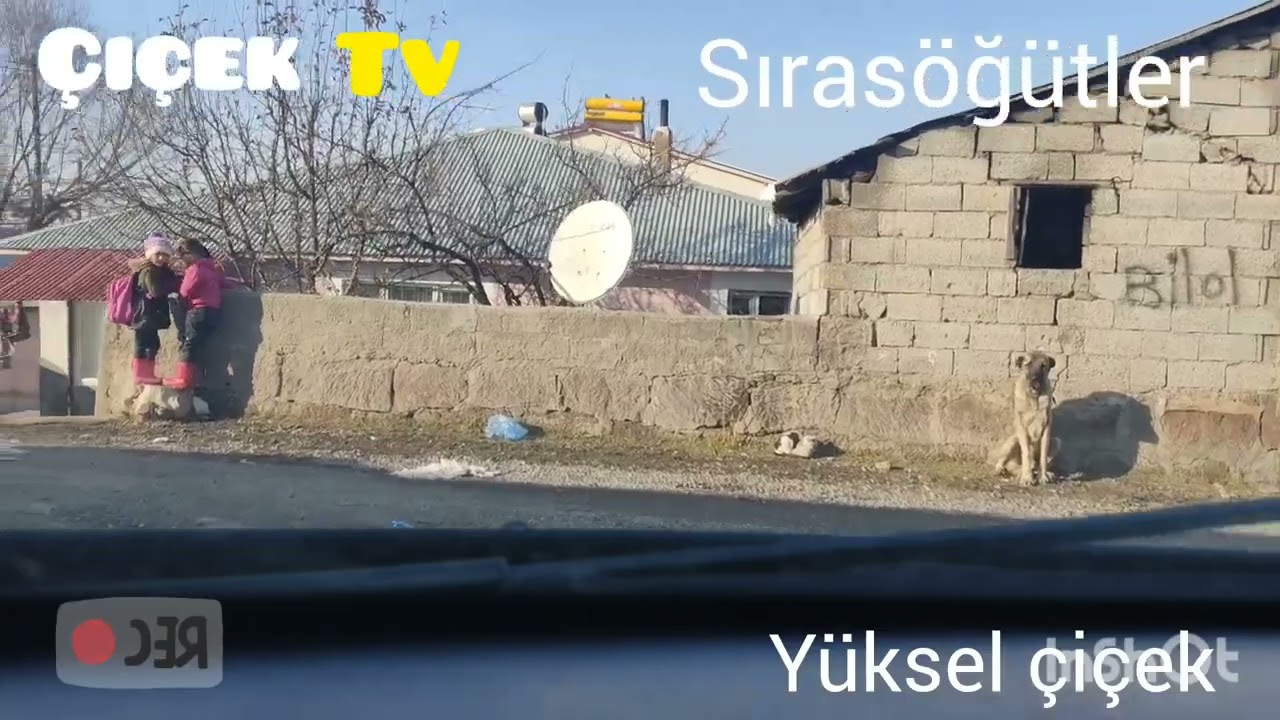 muş Varto sırasöğütler köyü