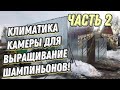 Как устроен микроклимат моей грибницы? Выращивание грибов в домашних условиях.