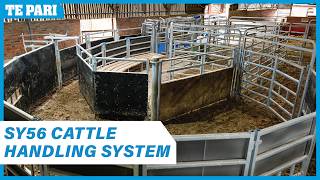 SY56 Cattle Handling System Walkthrough | England, UK