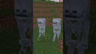 steve vs skeleton #minecraft #animation #brainrot #memes