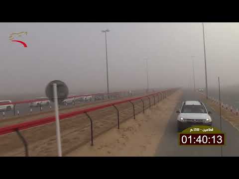 سباق الفطامين صعوب الطي 8 4 2023 ش7 الشاهينية لـ خليفه عبيد خليفه الحميري 2 19 