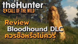 รีวิว DLC น้องหมา ควรซื้อหรือไม่ควรซื้อดีนะ [theHunter: Call of the Wild | BLOODHOUND DLC] screenshot 5