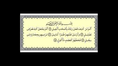 surat alfeel سورة الفيل