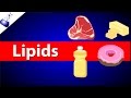 Lipids