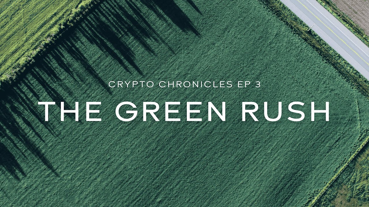 The Crypto Chronicles - Episode 3 - The Green Rush