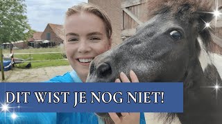 Wat gaat er met Halloween, Skittles en Smarties gebeuren? | PaardenpraatTV