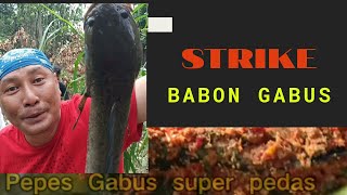 Jejak e Gundul 'Strike Babon Gabus / Pepes Super Pedas'