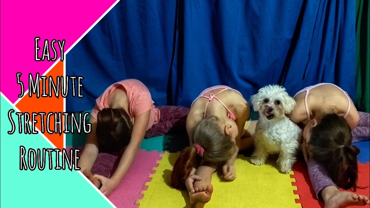 5 Minute Stretching For Beginners - YouTube