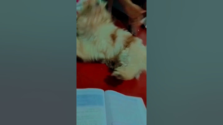 ඔන්න ඕක තමයි ප්‍රශ්නේ🤷‍♂️