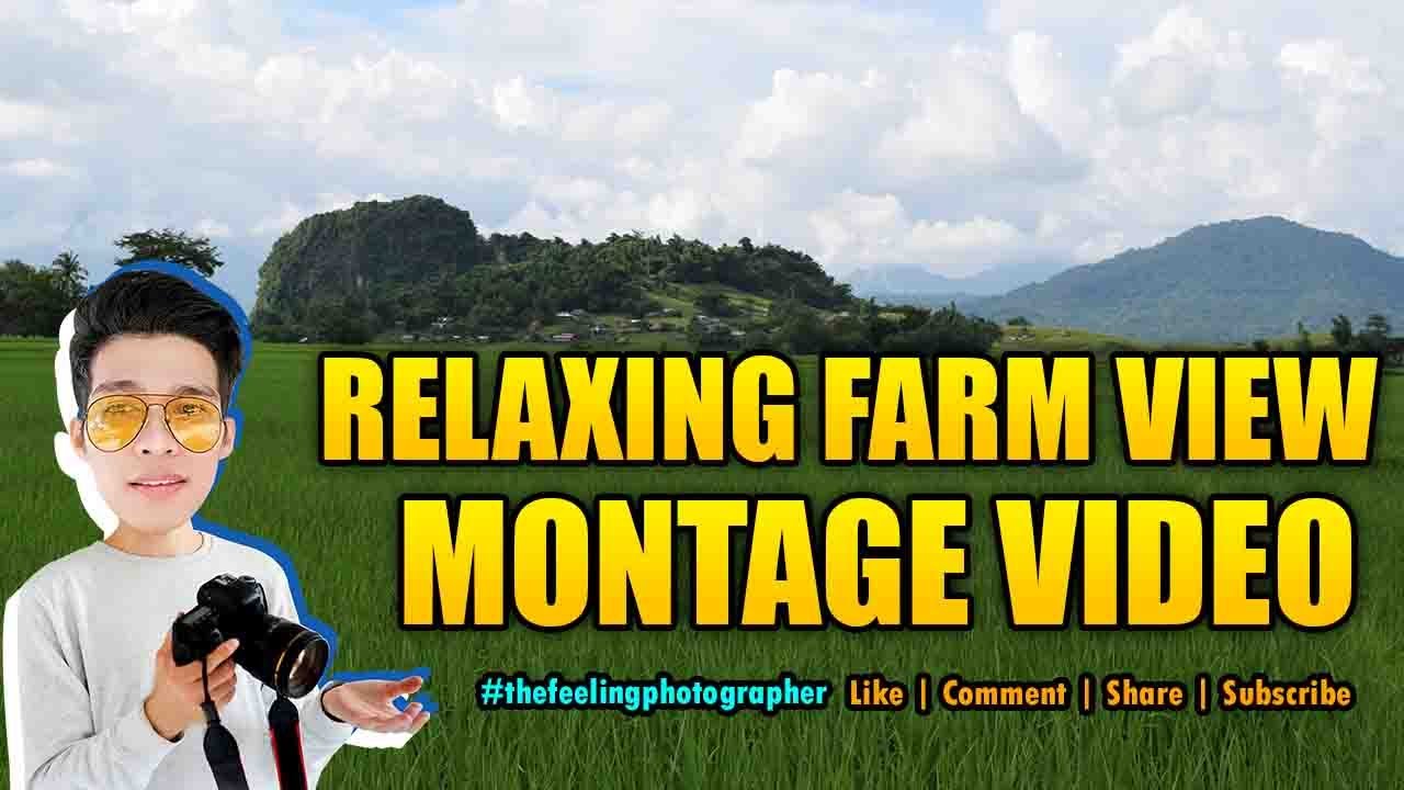 RELAXING FARM VIEW + MONTAGE VIDEO
