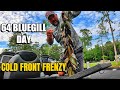 Cold Front FRENZY Bluegill Fishing – 64 Landed Toledo Bend!
