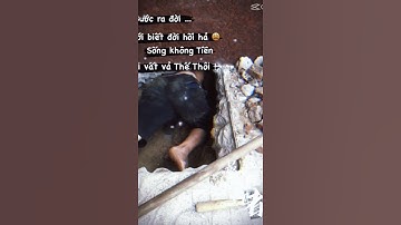 Thông Tắc Cống Hút Bể Phốt Tại Hà Nội Và Các Tỉnh Phía Bắc 0967 331 193