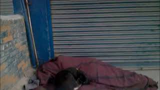 WP 20171204 06 33 53 Pro