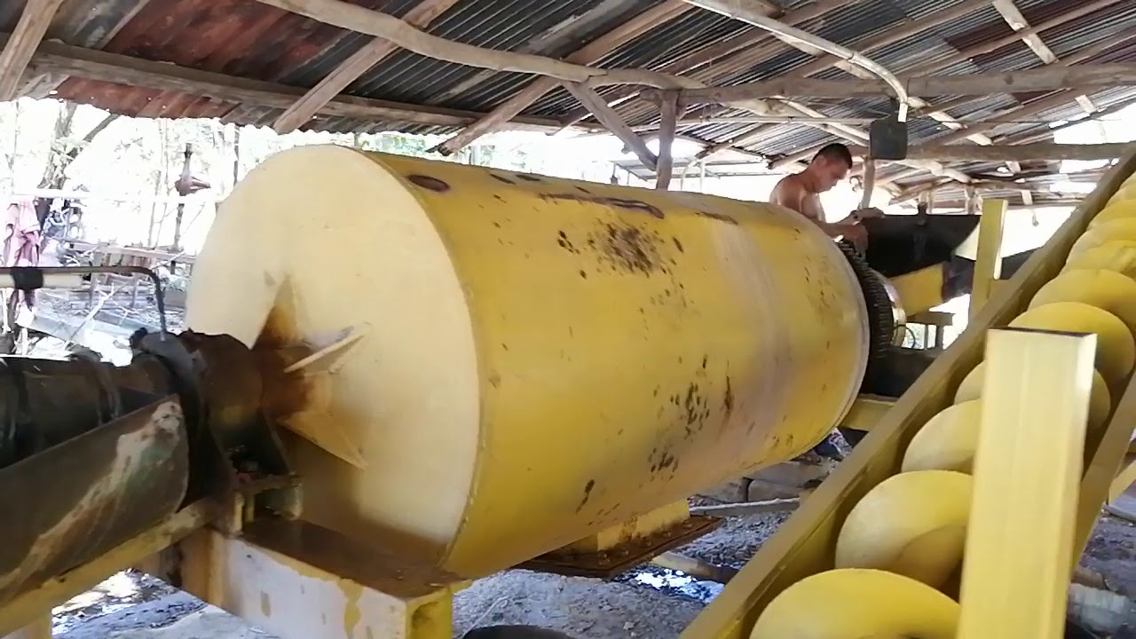 Extracción de oro semi industrial.