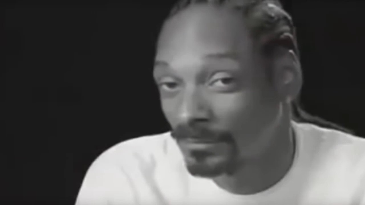 is the weed on the show real? - YouTube